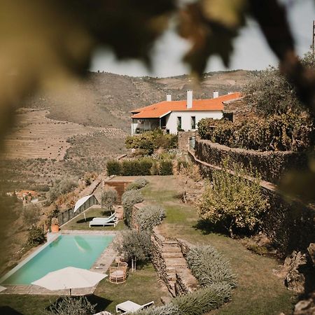 Quinta Da Gricha Hotel Ervedosa do Douro Buitenkant foto