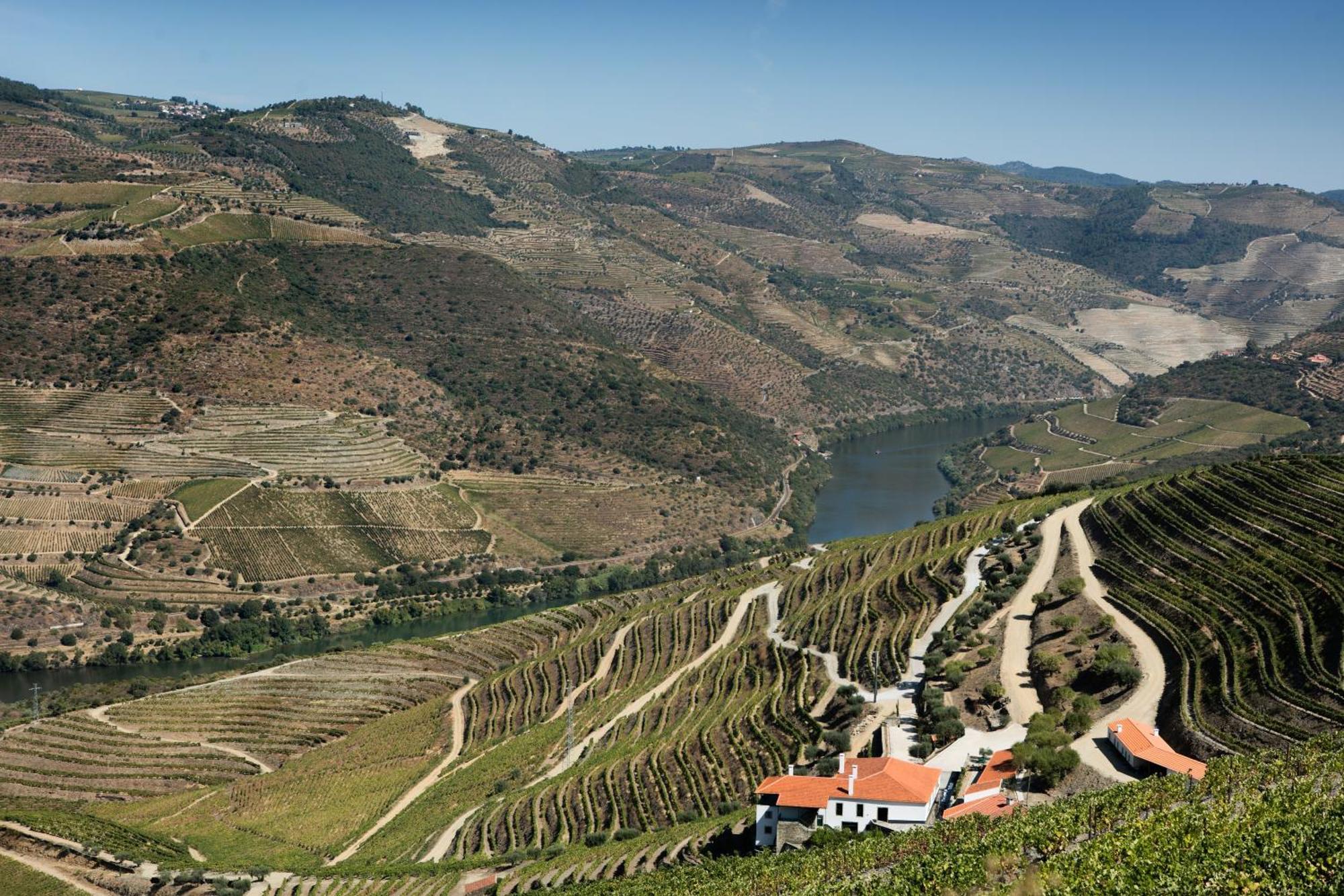 Quinta Da Gricha Hotel Ervedosa do Douro Buitenkant foto