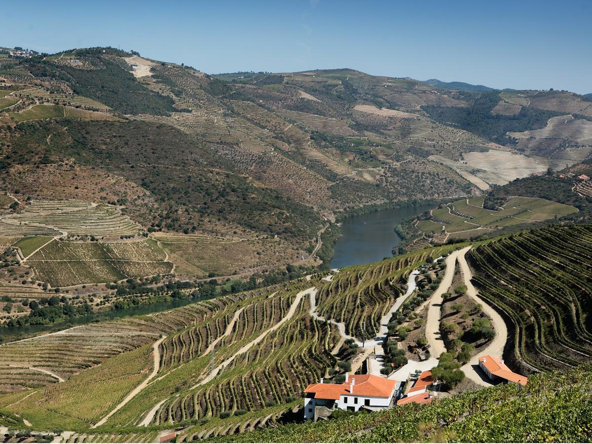 Quinta Da Gricha Hotel Ervedosa do Douro Buitenkant foto