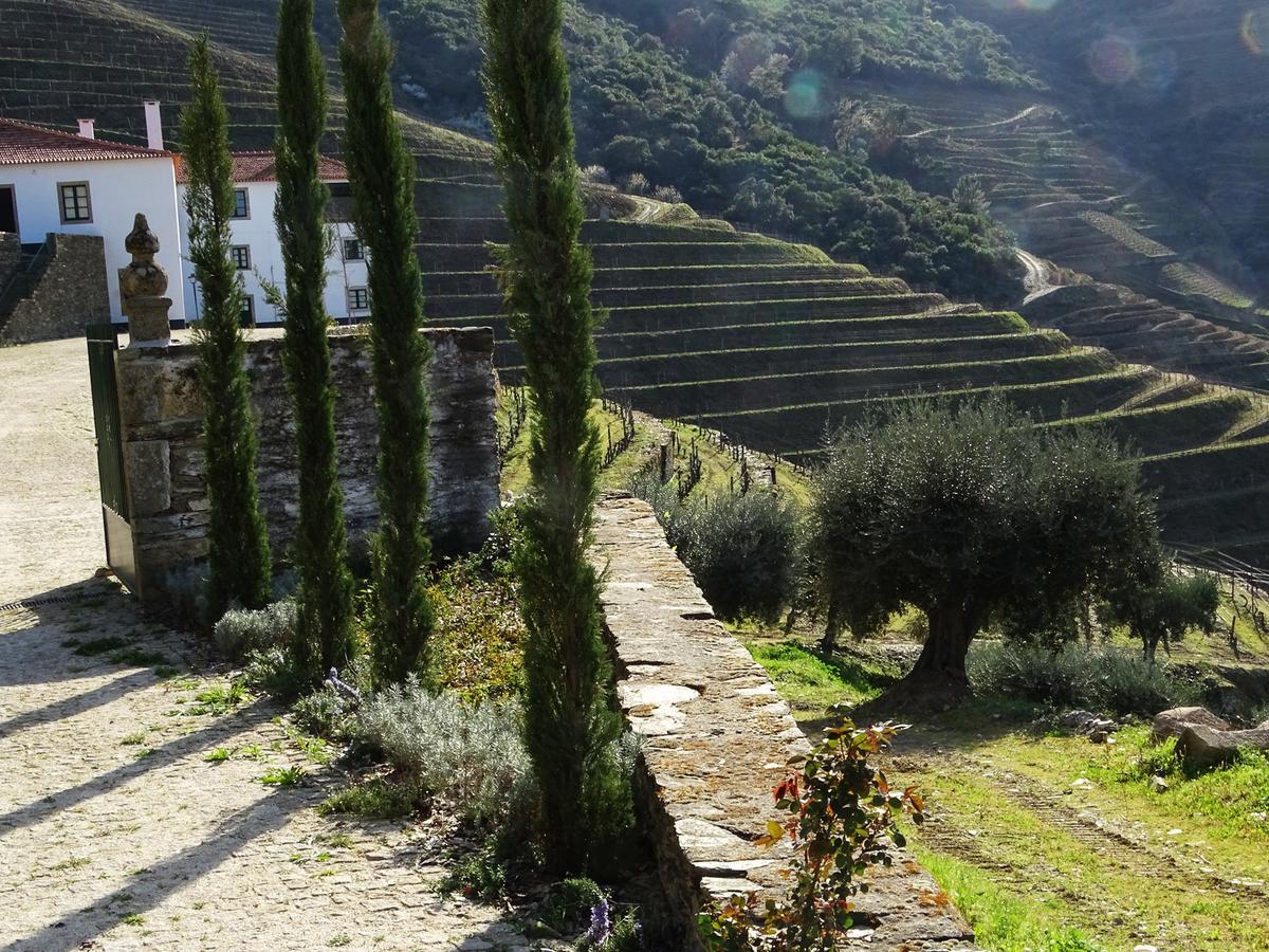 Quinta Da Gricha Hotel Ervedosa do Douro Buitenkant foto