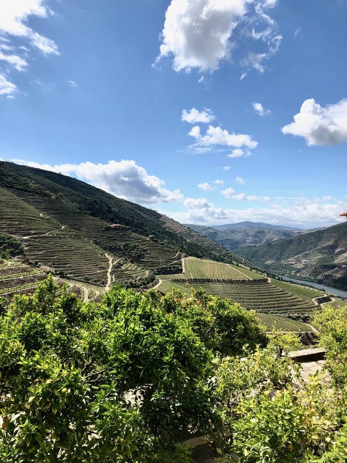 Quinta Da Gricha Hotel Ervedosa do Douro Buitenkant foto