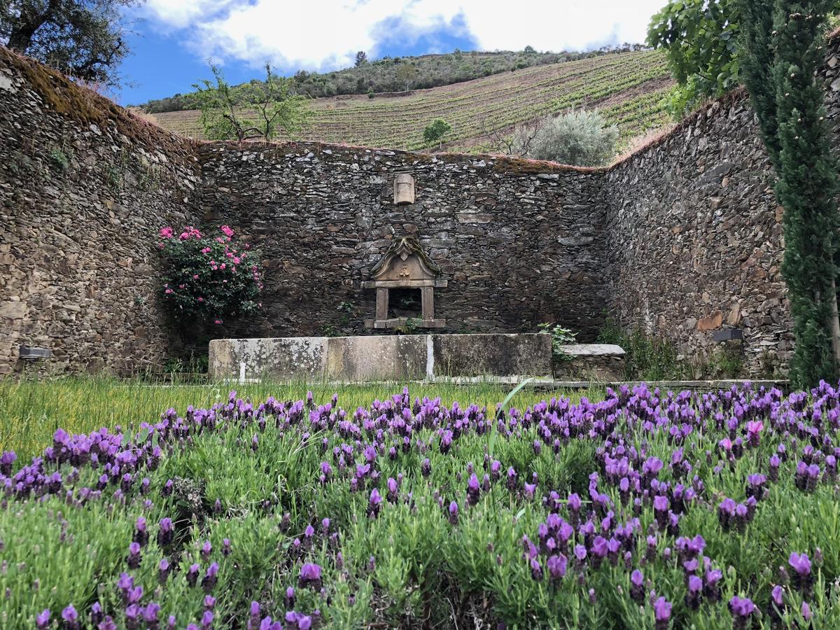 Quinta Da Gricha Hotel Ervedosa do Douro Buitenkant foto